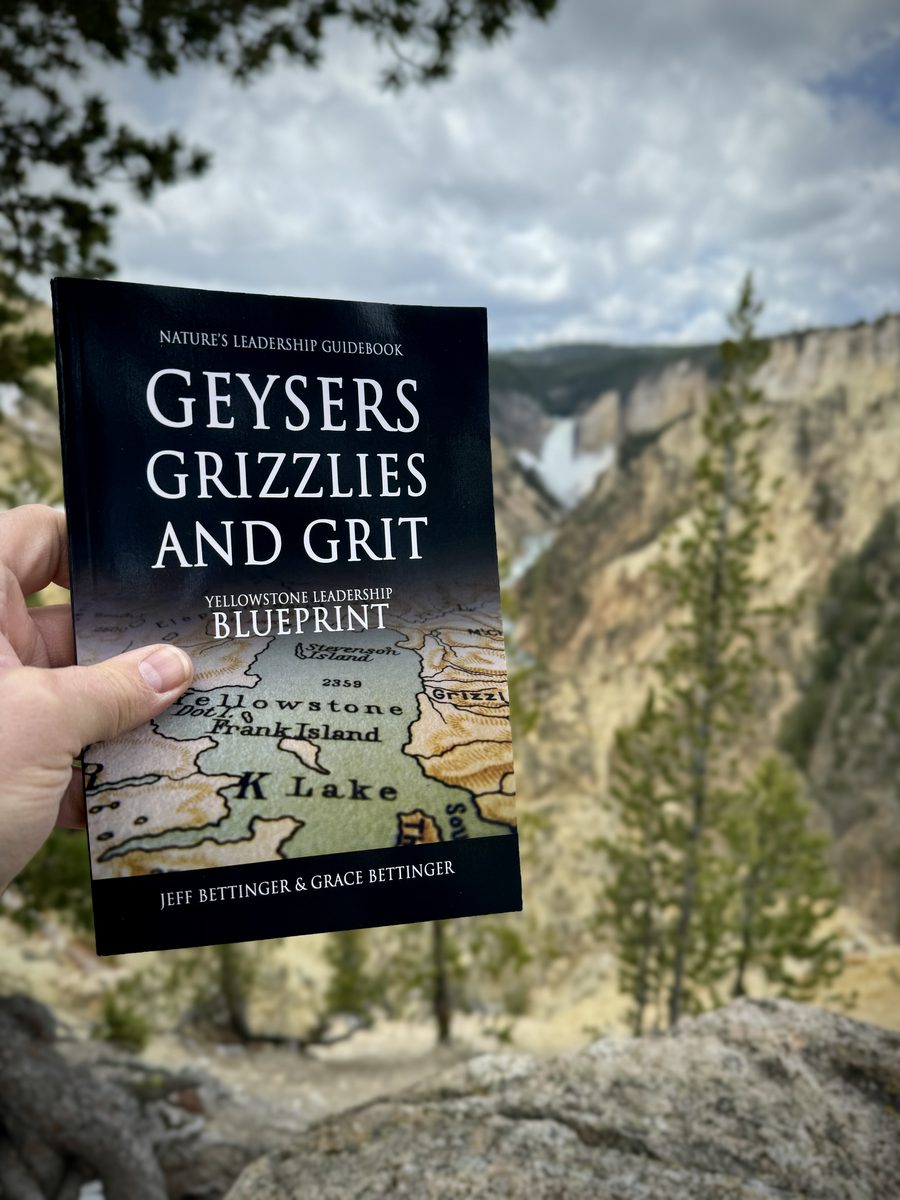 Geysers, Grizzlies and Grit held up at the Grand Canyon of the Yellowstone
